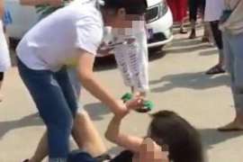 菏泽出轨取证